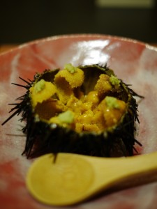 Fresh live sea urchin in shell (768x1024)