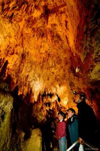 Waitomo Caves, ornate limestone formations 